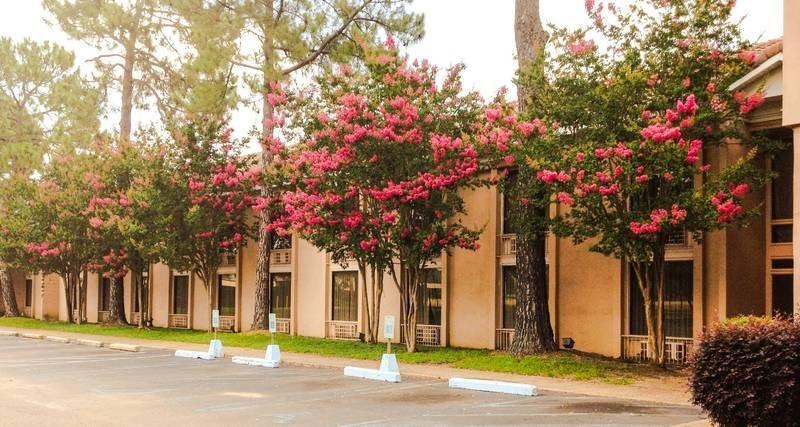 Regency Hotel & Conference Center ジャクソン エクステリア 写真